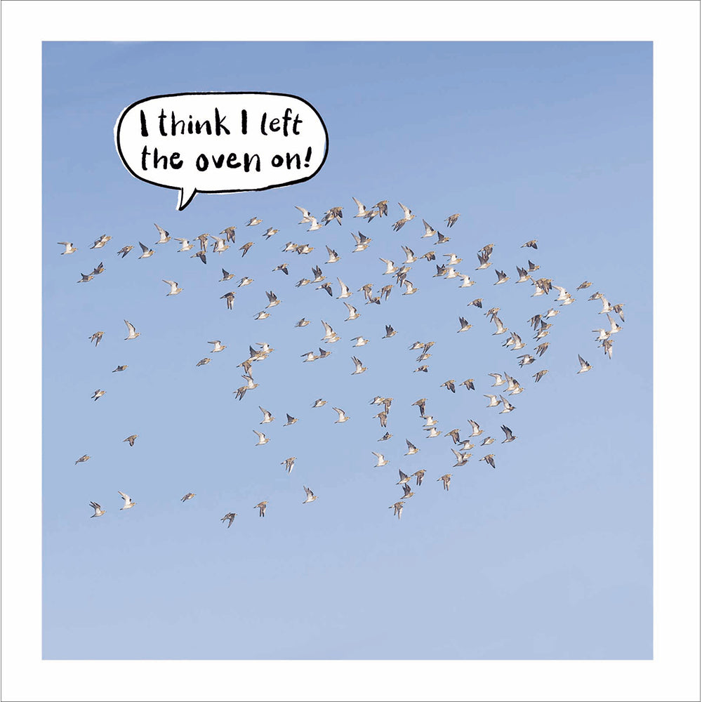 Think I Left The Oven On Geese Photographic Card from Penny Black