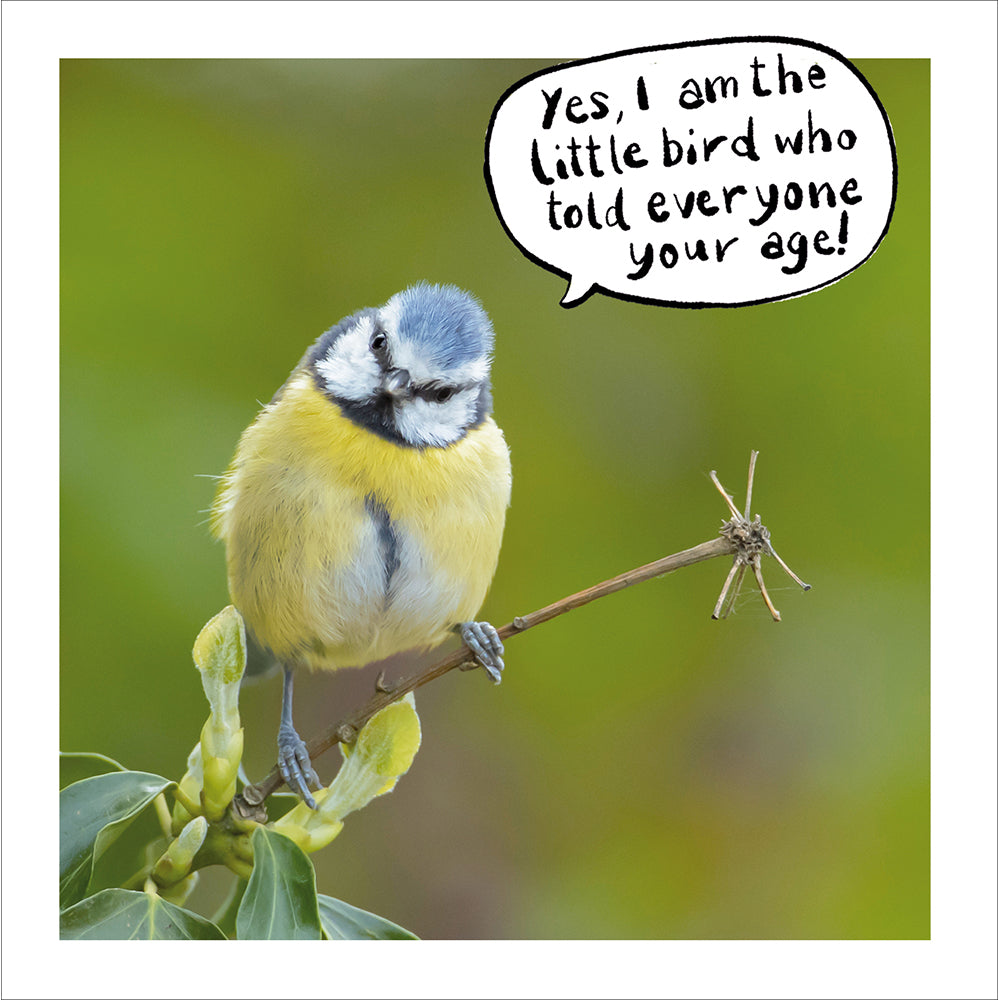 Little Bird Told Me Funny Photographic Card from Penny Black