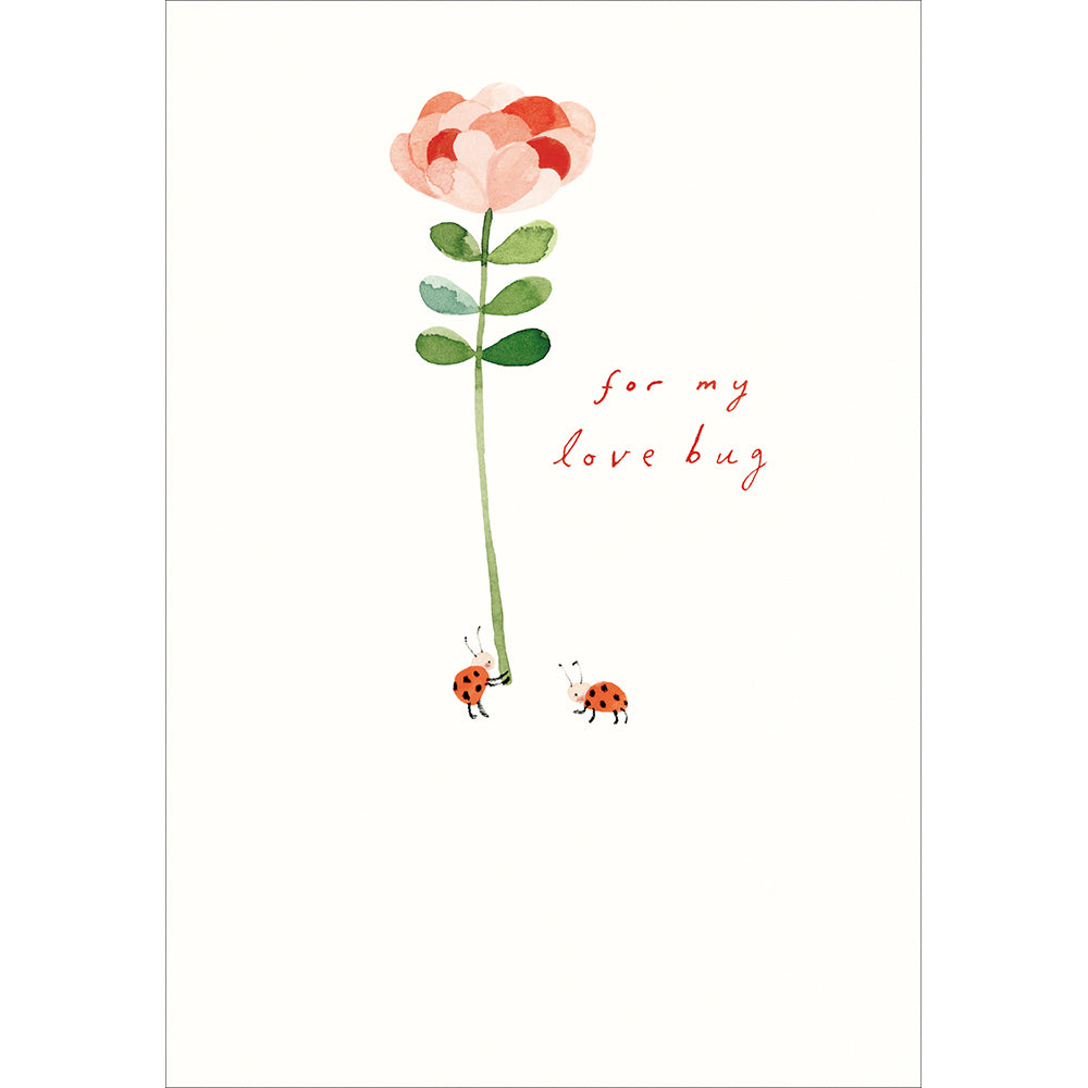 Ladybirds For My Love Bug Valentine's Day Card By Penny Black