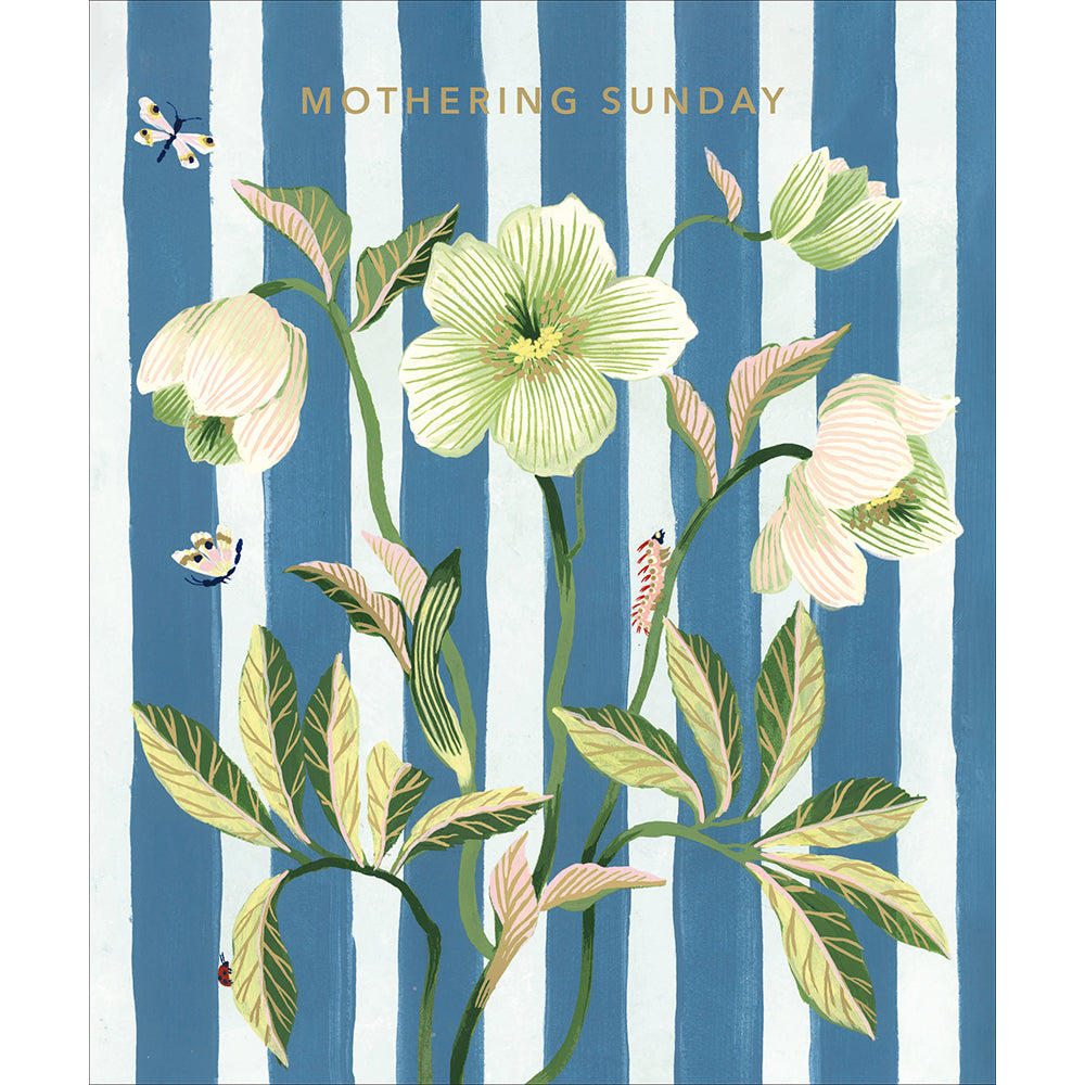 White Hellebore Mothering Sunday Card By Penny Black