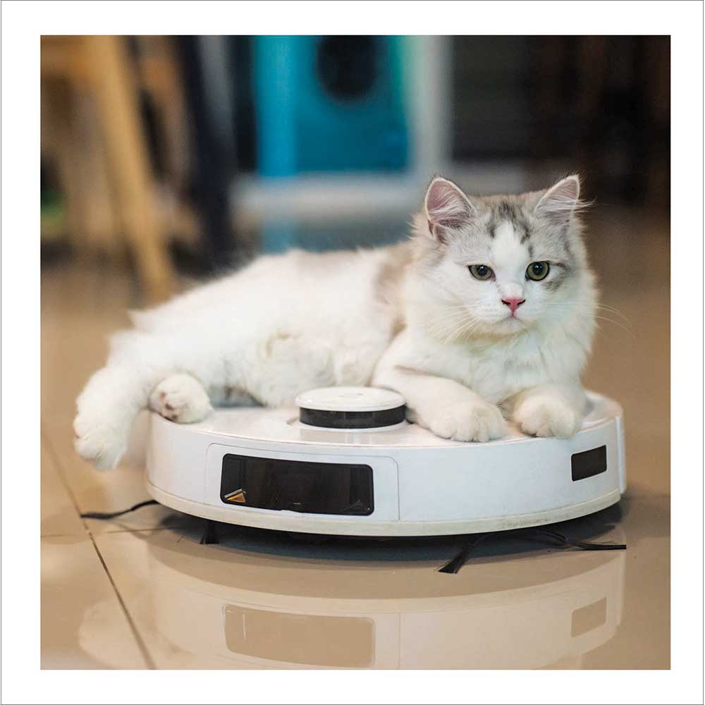 Cleanopatra Cat Robot Funny Card By Penny Black