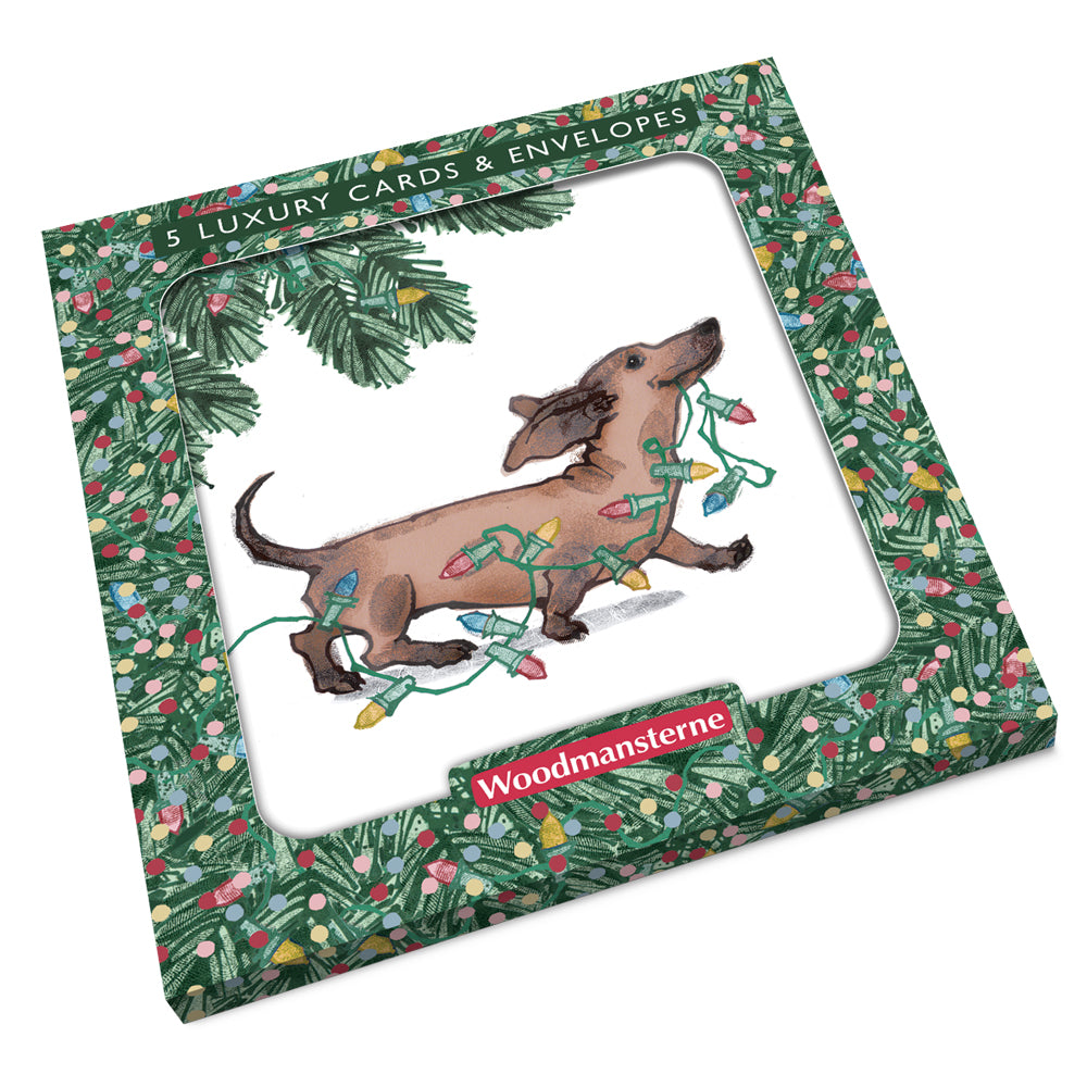 Dashing Dachshund With Lights Luxury Christmas Card 5 Pack by penny black