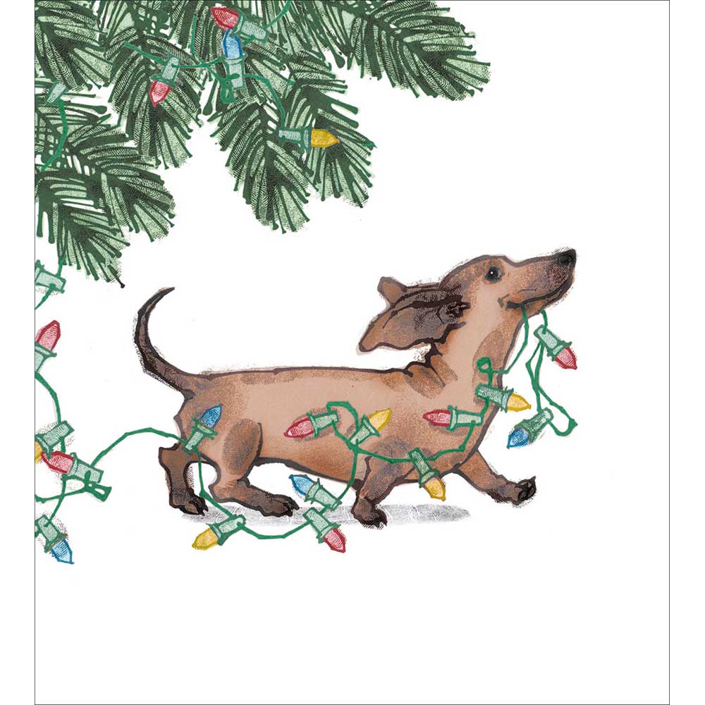Dashing Dachshund With Lights Luxury Christmas Card 5 Pack showing the pack design of a cheeky sausage dog with lights