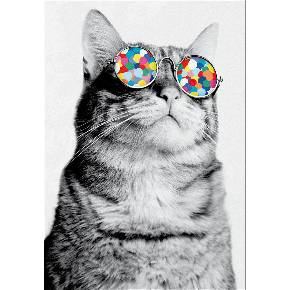 Cool Cat Confetti Specs Photographic Card from Penny Black
