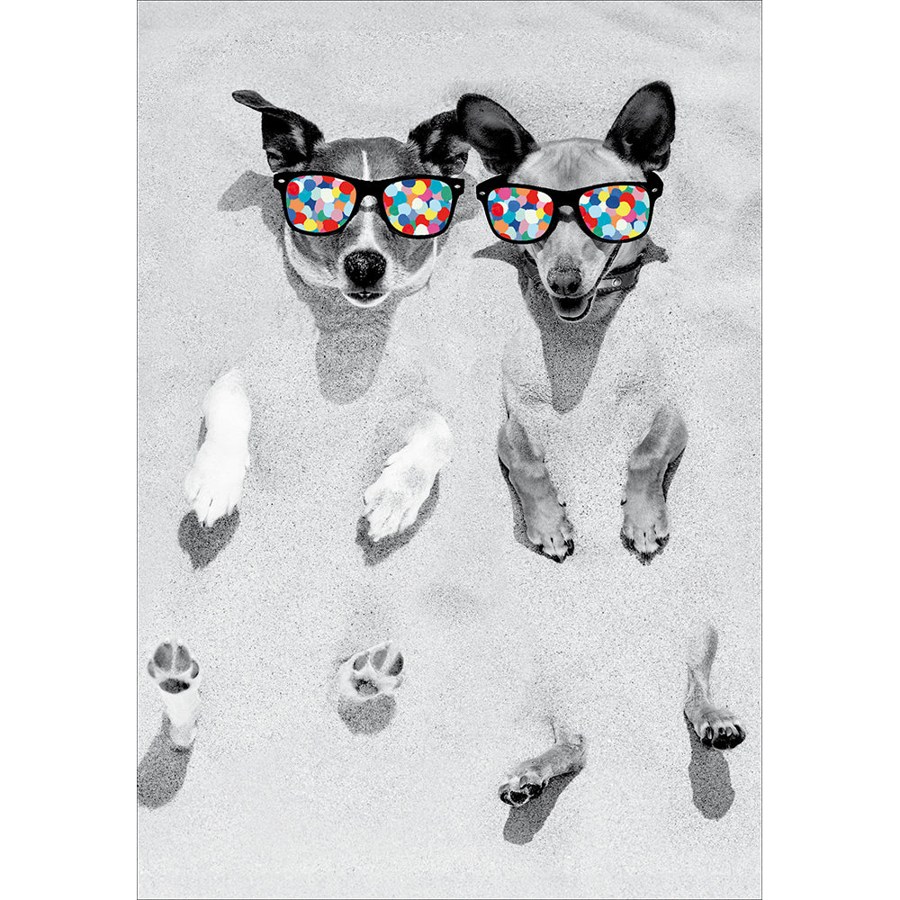 Beach Dogs Confetti Specs Photographic Card from Penny Black