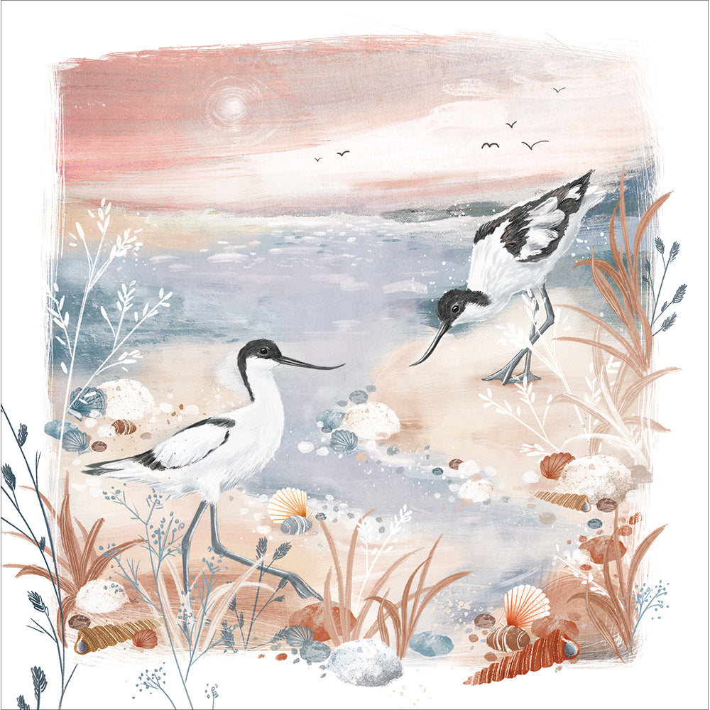 Painted Pied Avocets Art Card from Penny Black