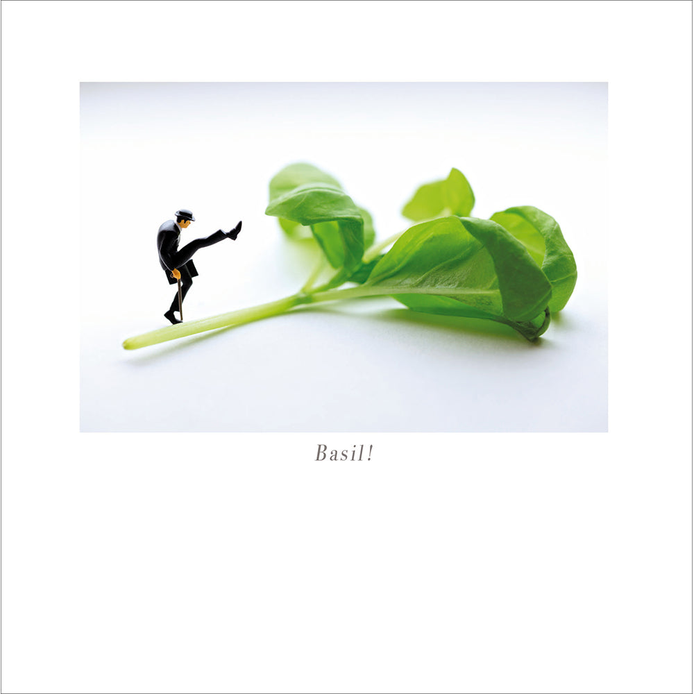 Basil Funny Walks Photographic Card from Penny Black