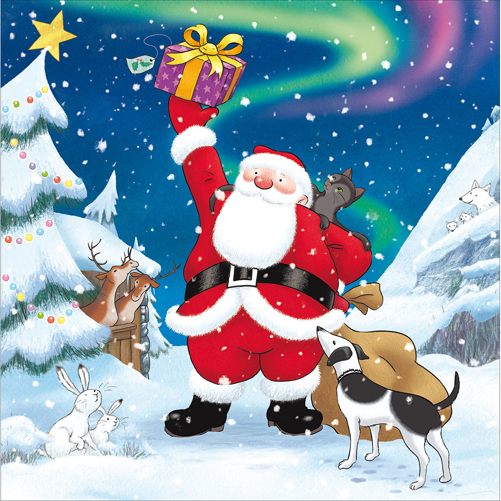 Raymond Briggs What's In The Parcel? Northern Lights Christmas Card By Penny Black