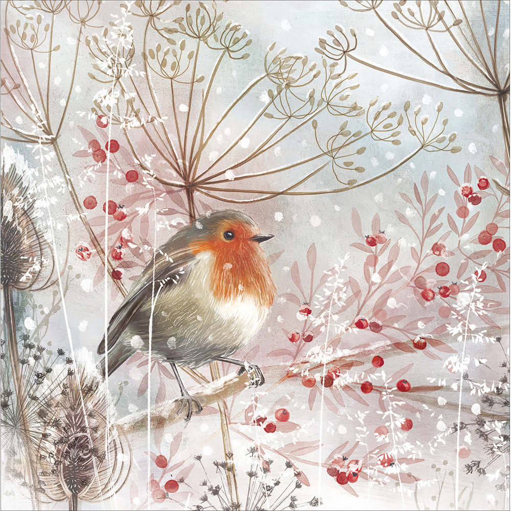 Sweet Robin On A Wintry Branch Christmas Card By Penny Black
