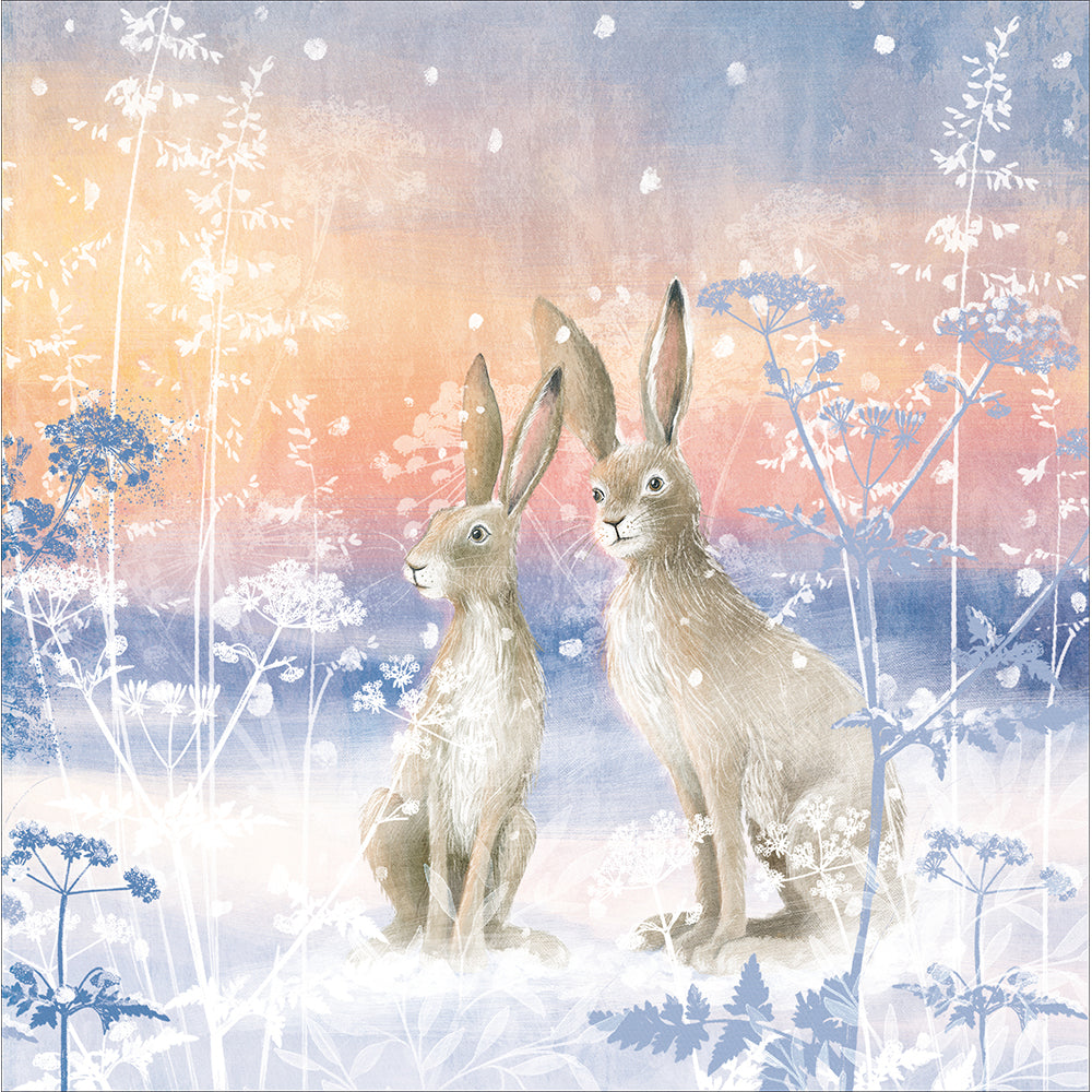 Hazy Hares At Dawn Christmas Card By Penny Black