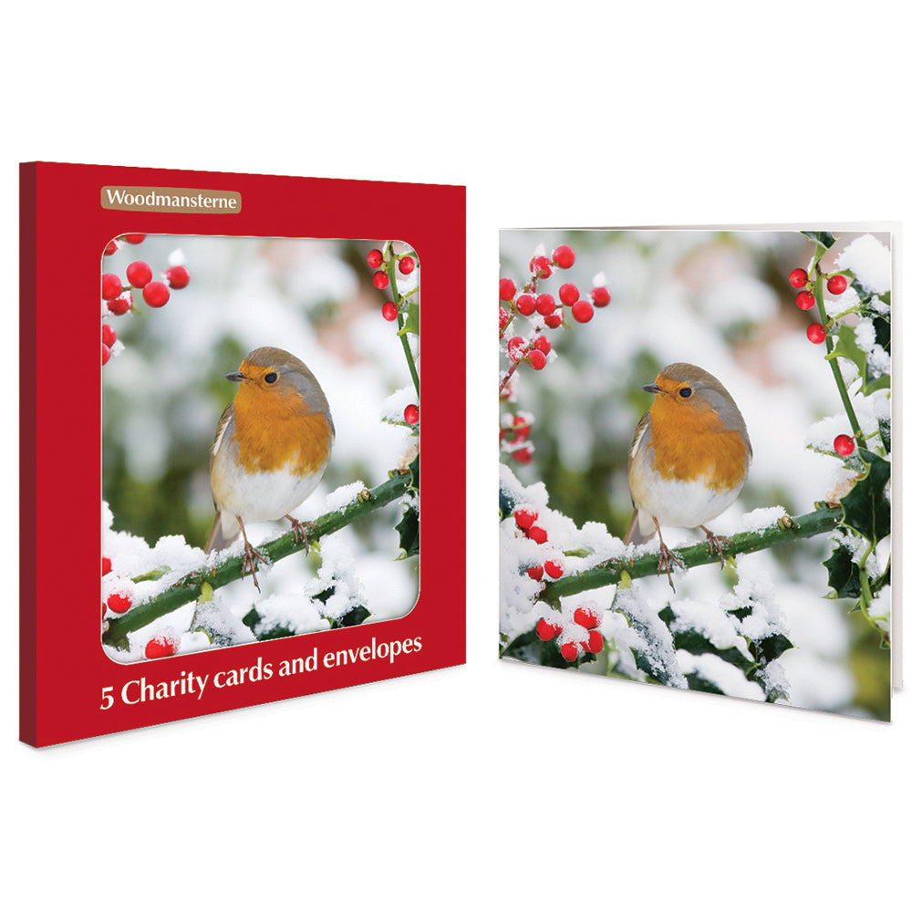 Robin On Snowy Holly Branch Pack Of 5 Charity Christmas Cards By Penny Black