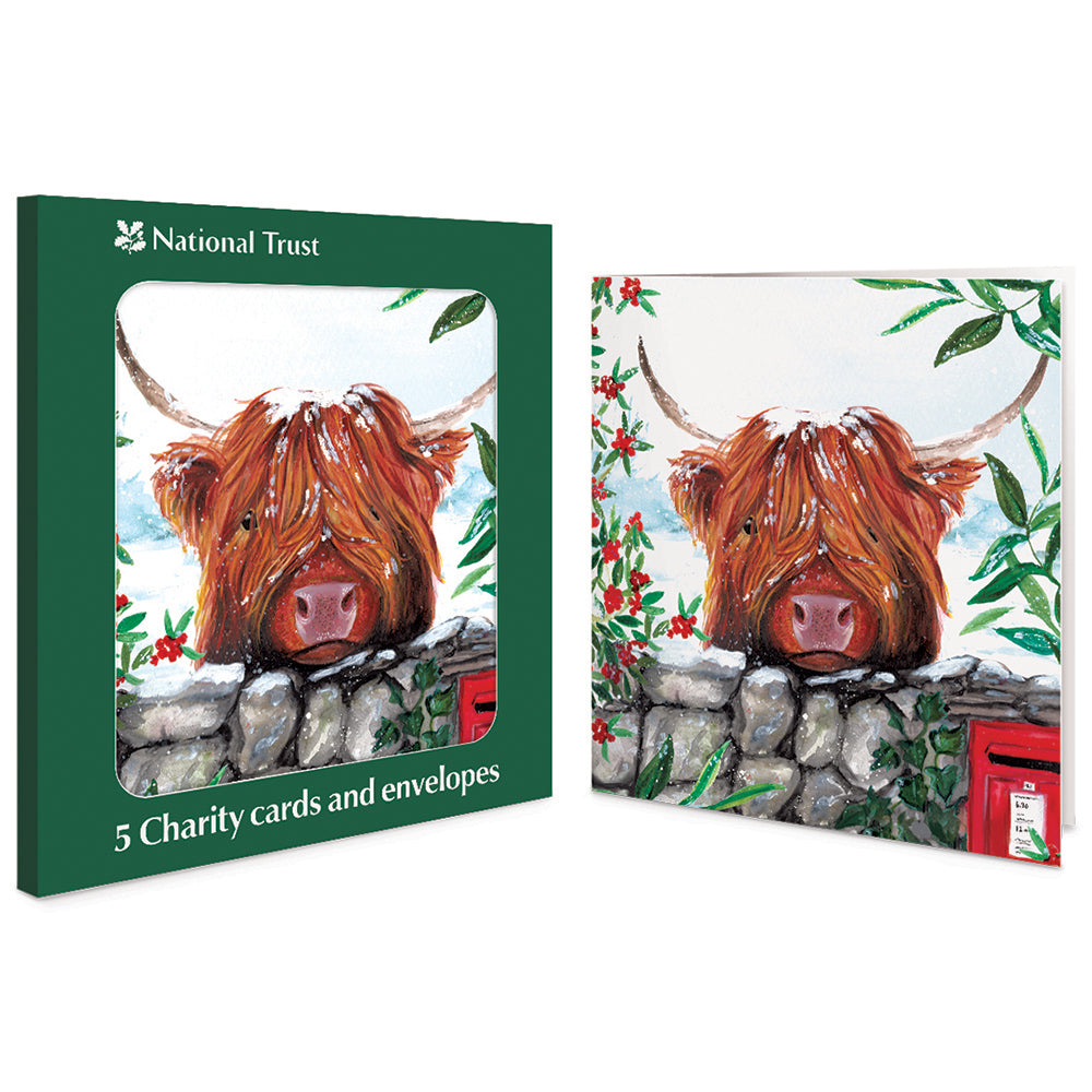 Highland Cow Looking Over Wall Pack Of 5 National Trust Charity Christmas Cards By Penny Black