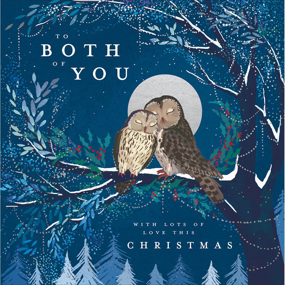 Cosy Christmas Owls On Branch Both Of You Card By Penny Black