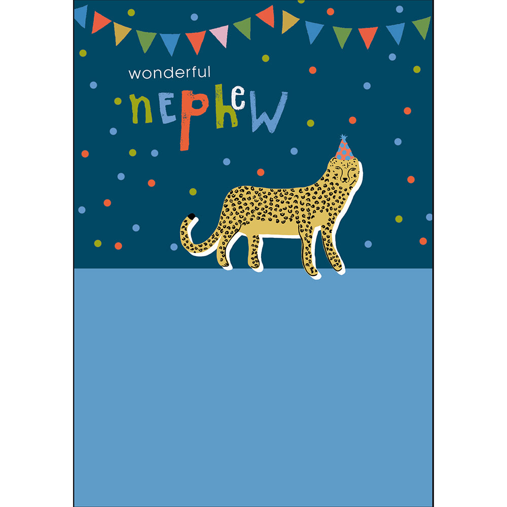 Party Cheetah Wonderful Nephew Birthday Card from Penny Black