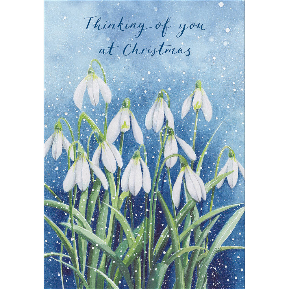 Winter Snowdrops Thinking Of You At Christmas Card By Penny Black