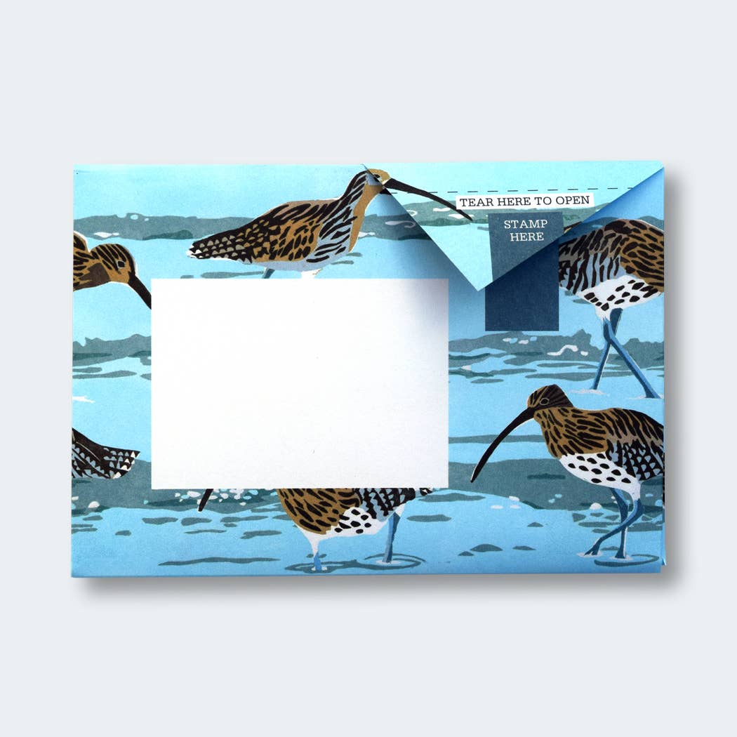 Hebridean Birds Pigeon Folding Letter Set by penny black - showing a blue folded letter featuring a curlew seabird.
