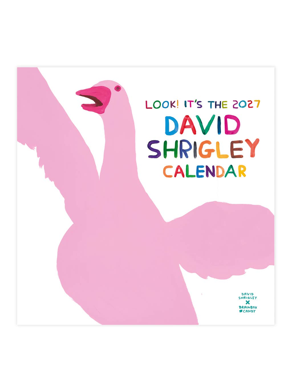 2027 David Shrigley Wall Calendar by penny black - front cover