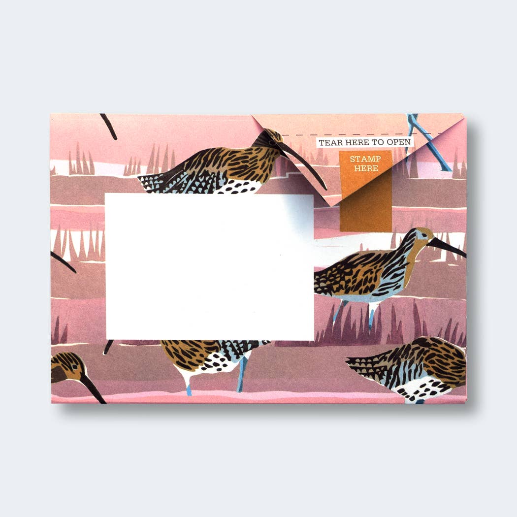 Hebridean Birds Pigeon Folding Letter Set by penny black - showing a pink folded letter featuring a curlew seabird.