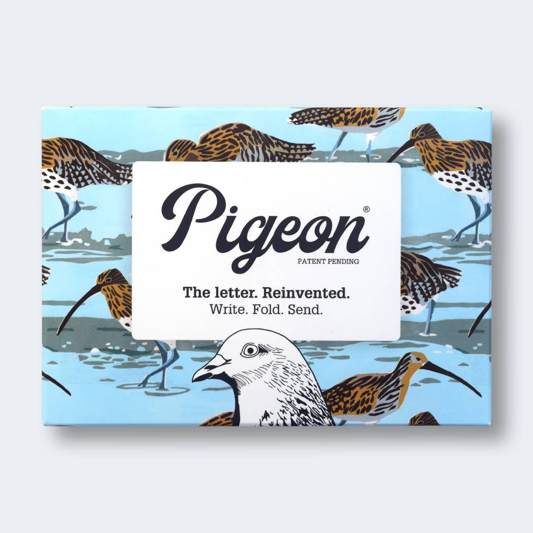 Hebridean Birds Pigeon Folding Letter Set by penny black