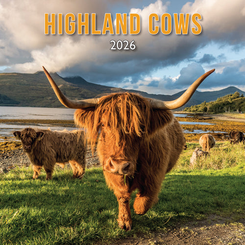 Allan Wright Highland Cows 2026 Calendar By Penny Black