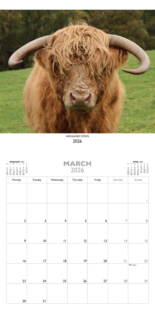 Allan Wright Highland Cows 2026 Calendar By Penny Black