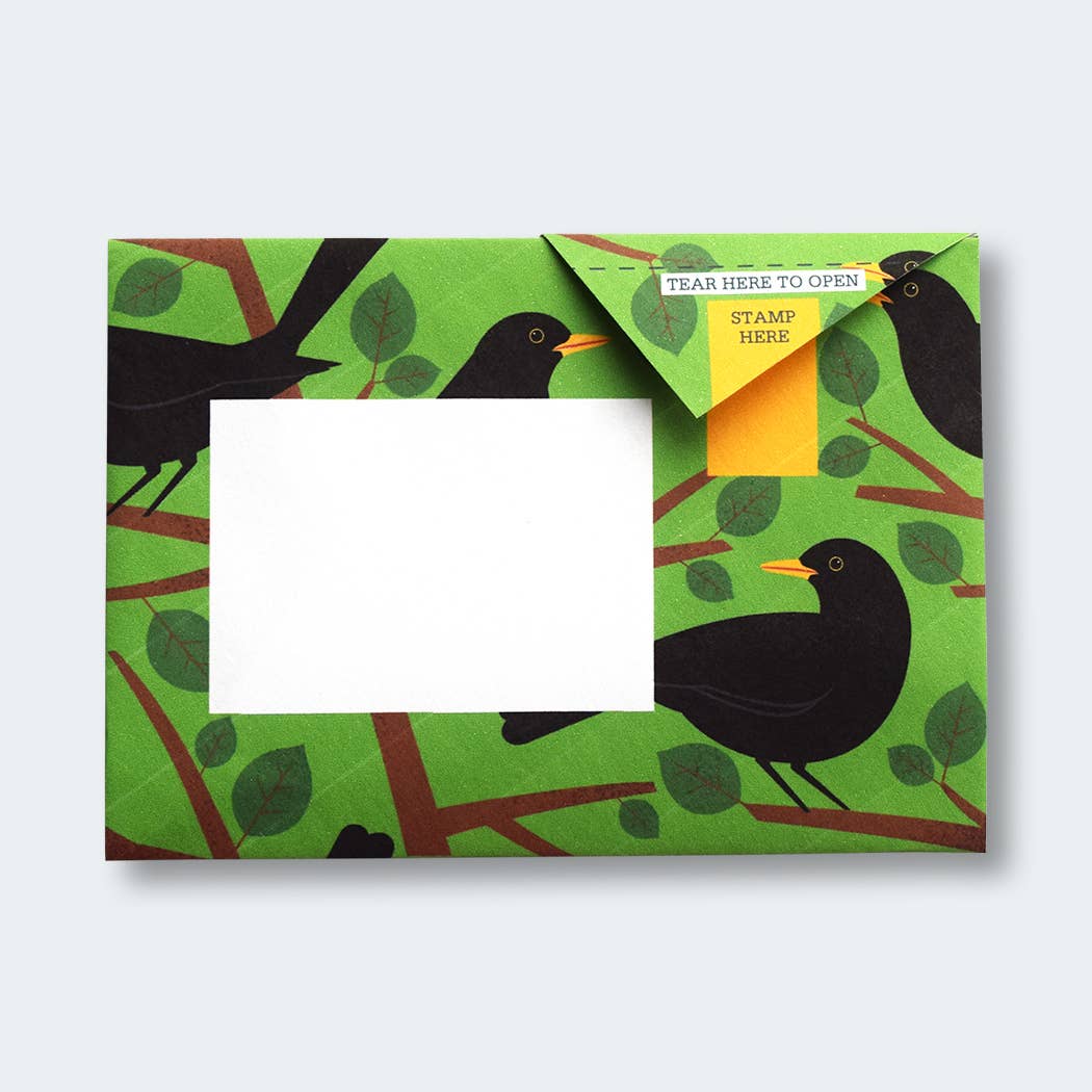 Dawn Chorus Pigeon Folding Letter Set by penny black showing a rich green folded letter with blackbirds on branches