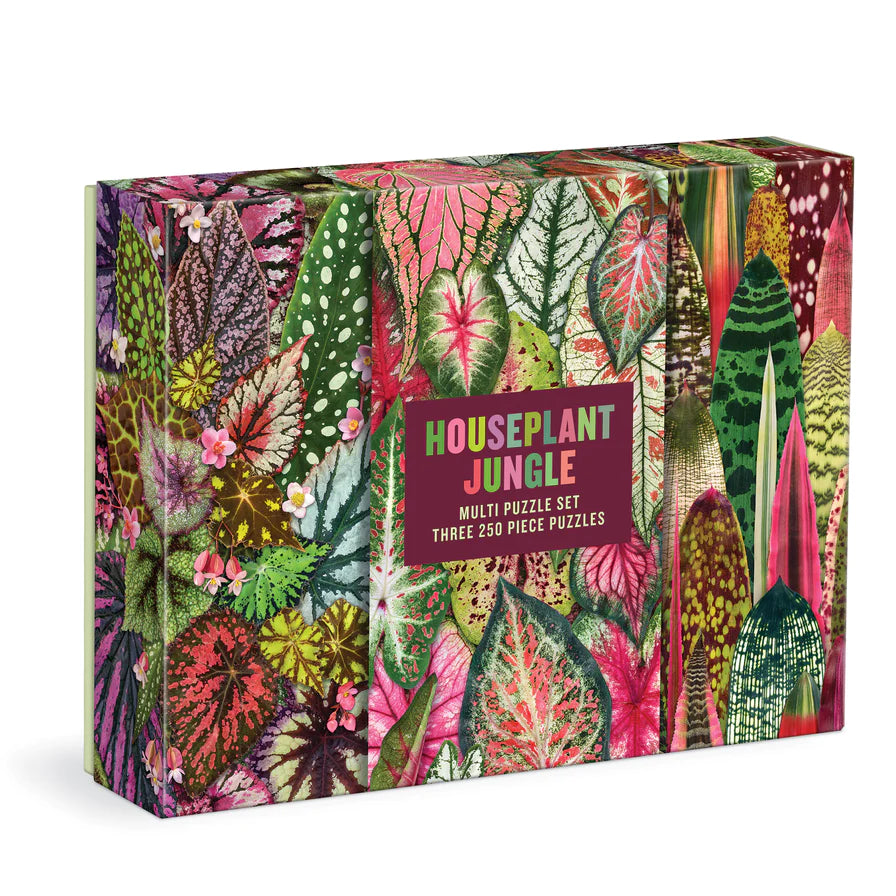 Houseplant Jungle Multi Puzzle Set 250pcs by penny black