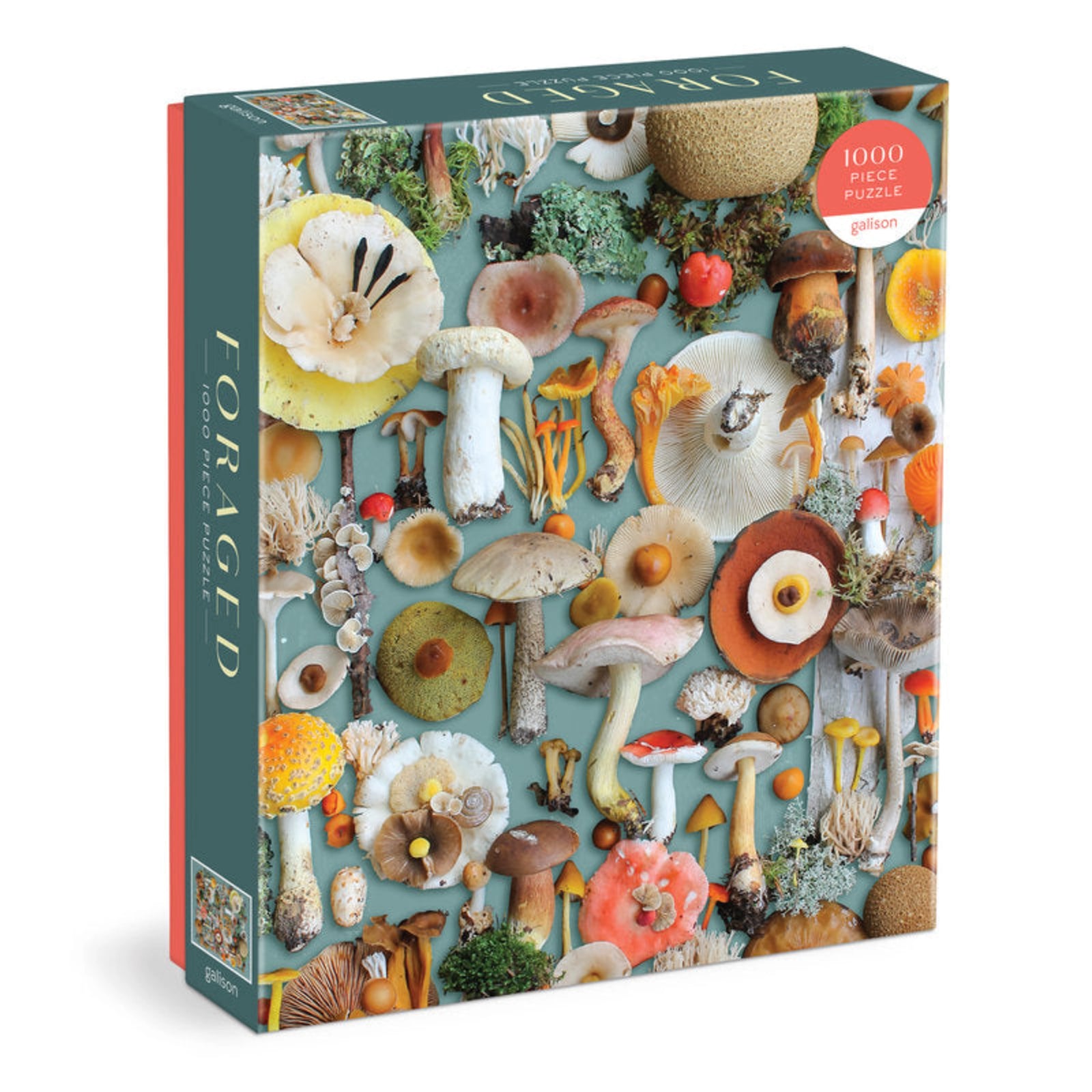 Foraged Mushrooms & Moss Jigsaw Puzzle 1000 Pcs By Penny Black