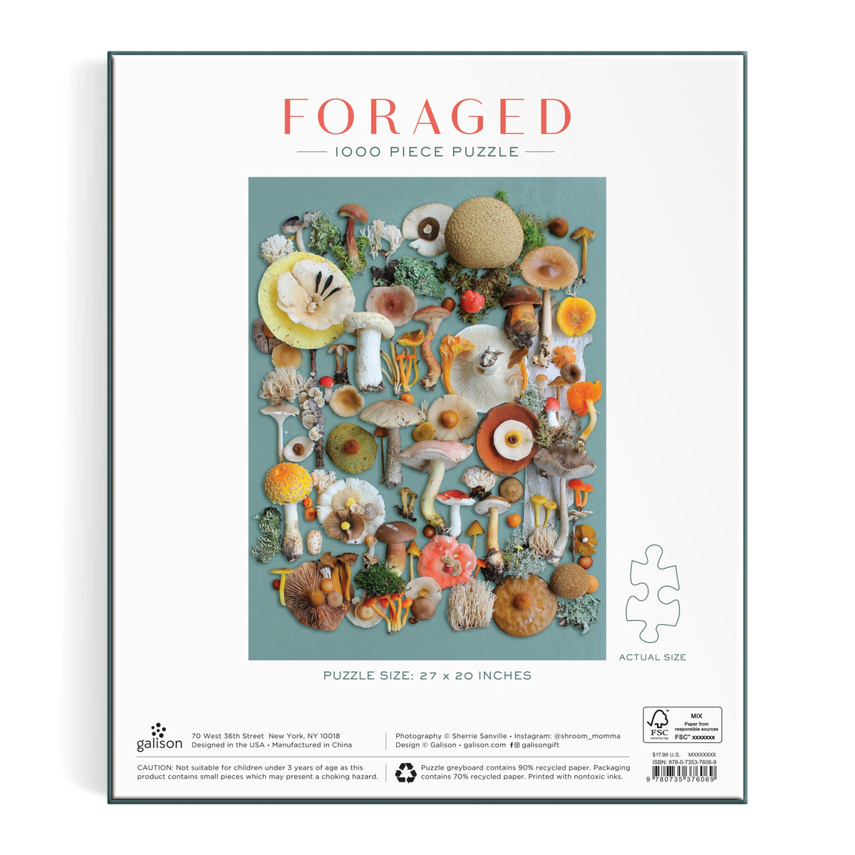 Foraged Mushrooms & Moss Jigsaw Puzzle 1000 Pcs By Penny Black