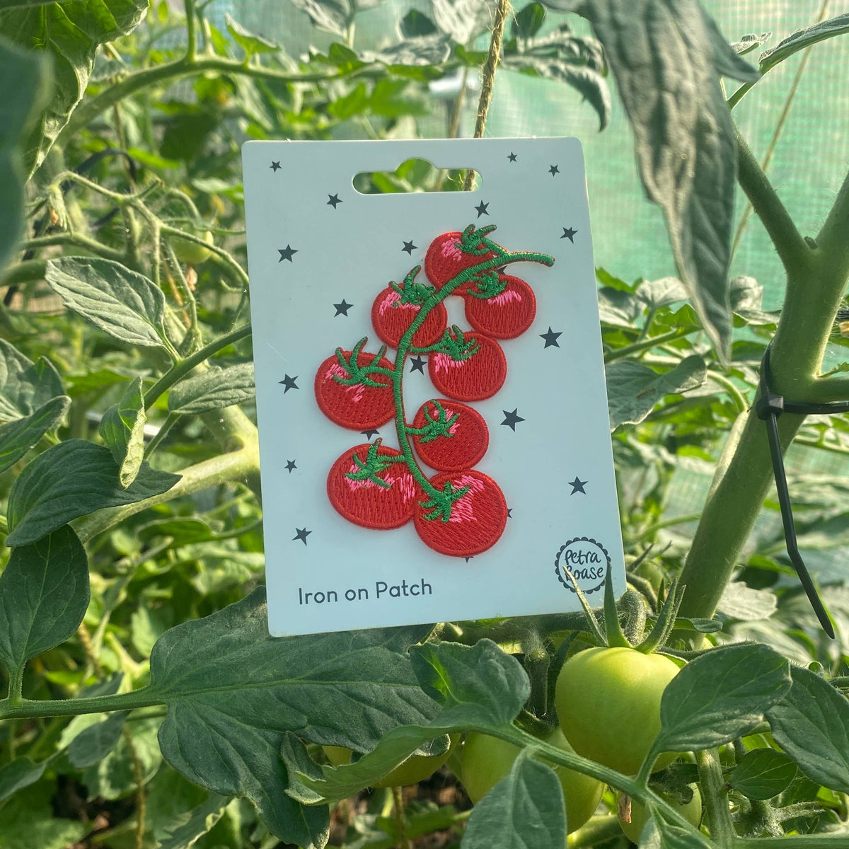 Colourful Iron on Patch - Tomato Vine shown with a tomato plant