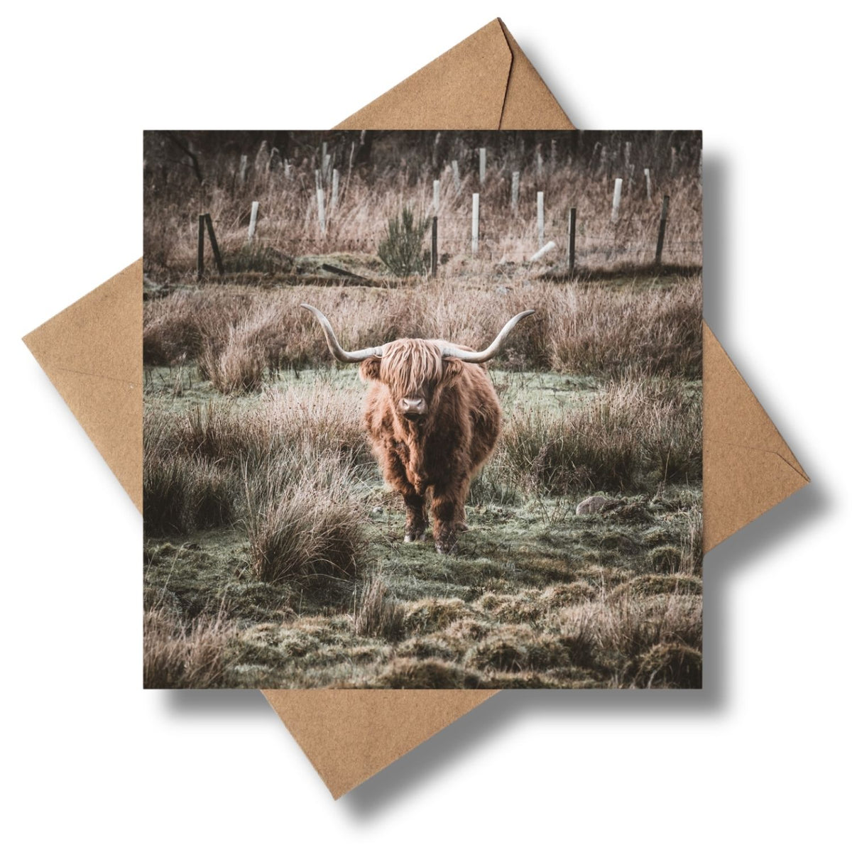 Wintry Highland Coo Christmas Card By Penny Black