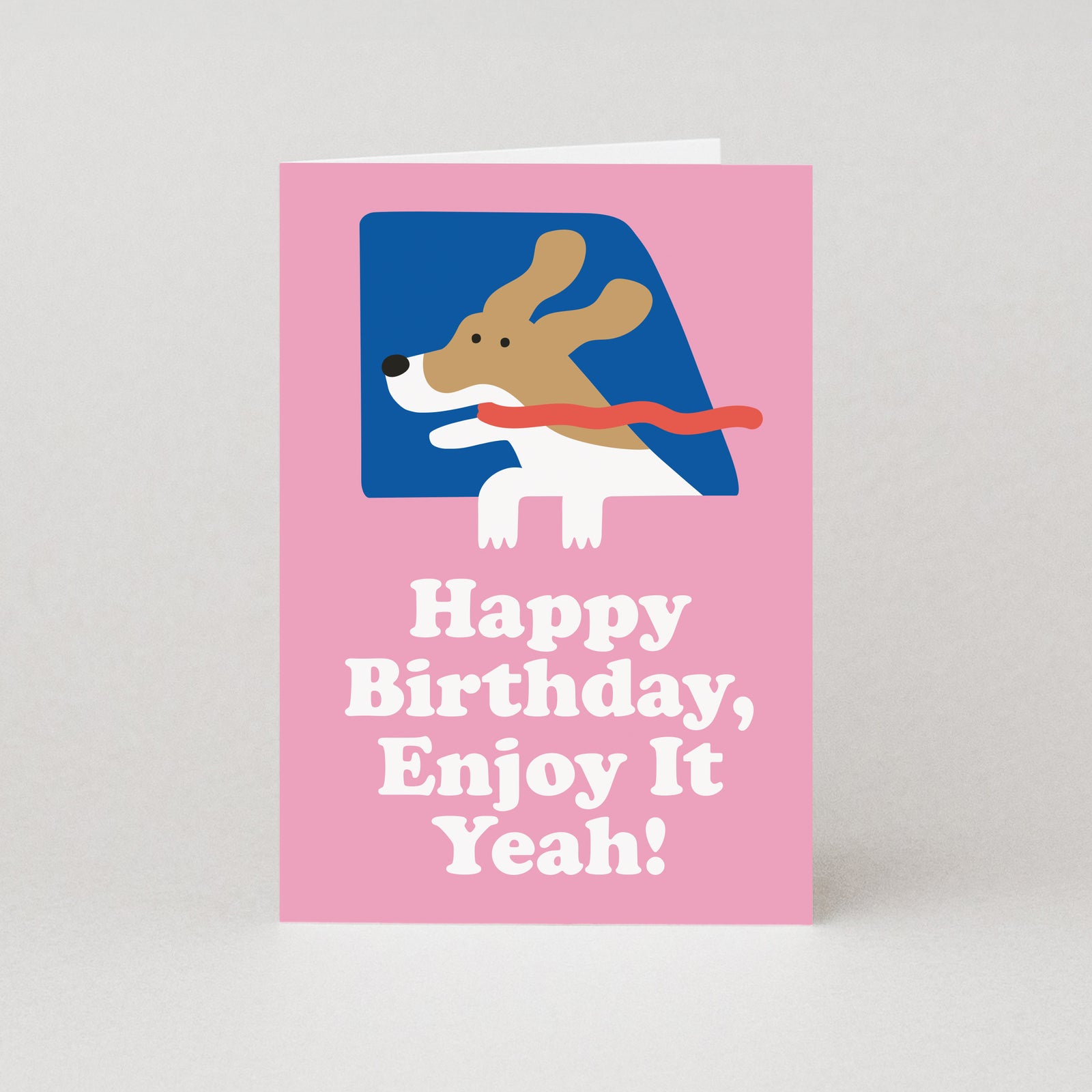 Enjoy It Dog In Car Birthday Card By Penny Black