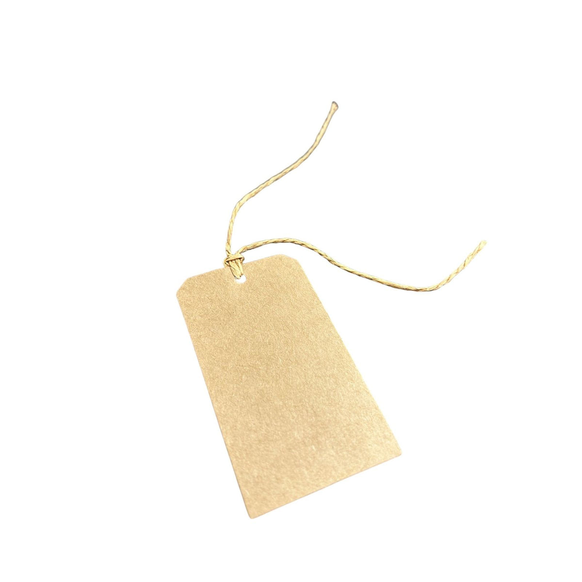 Kraft Brown Gift Tags 6 Pk - out of packaging by penny black