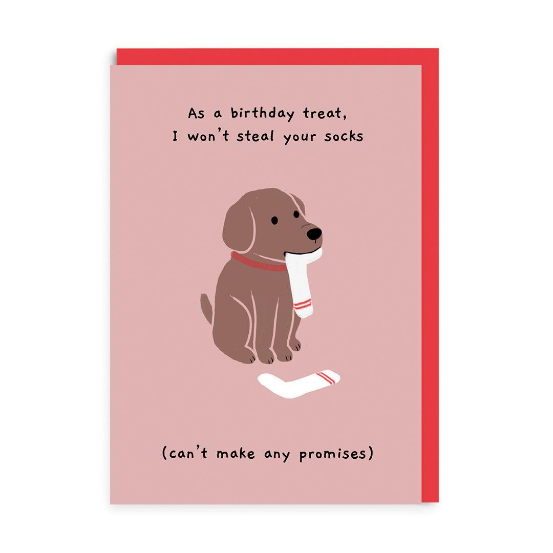 Won't Steal Your Sock Dog Birthday Card By Penny Black