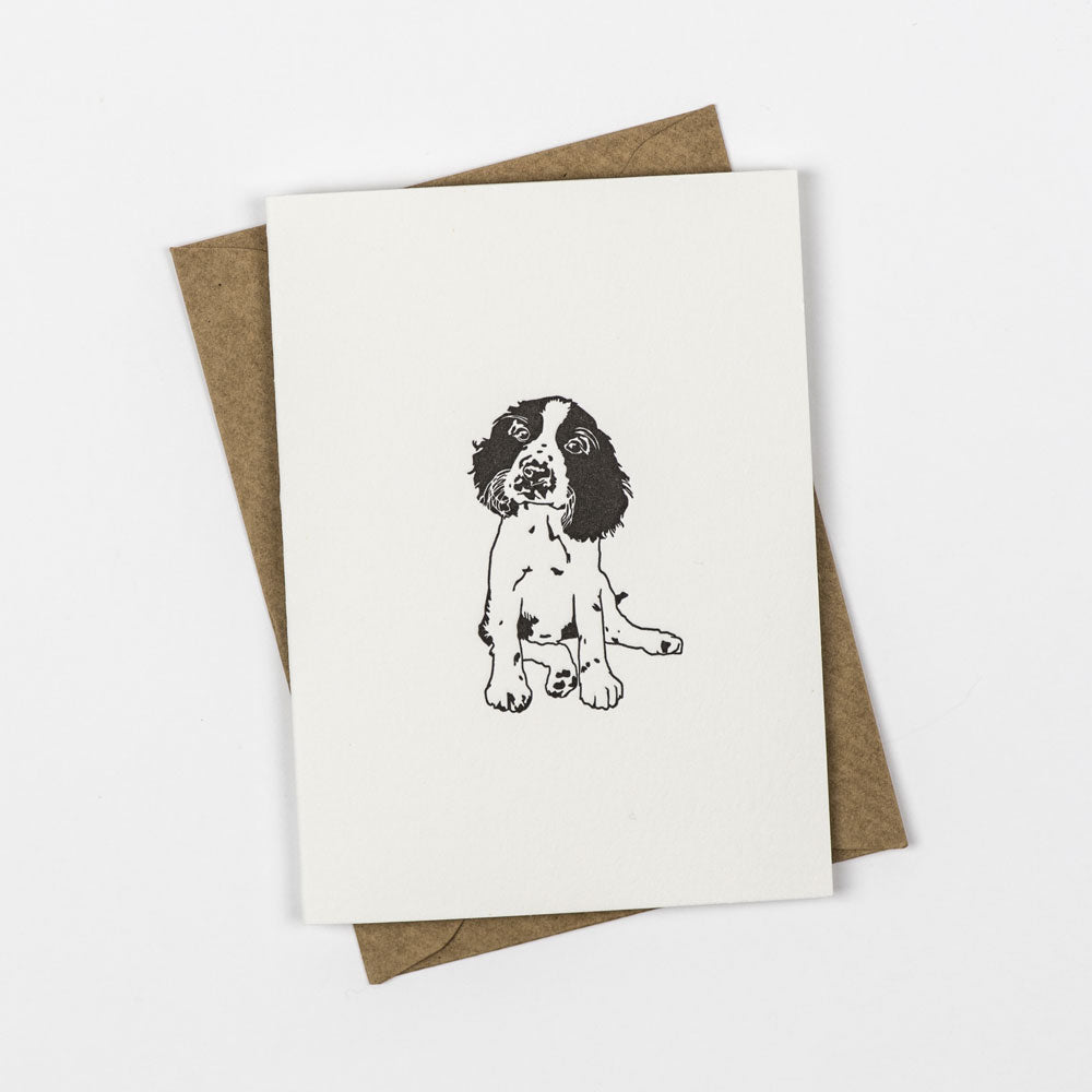 Springer Spaniel Puppy Little Letterpress Notecard Boxset