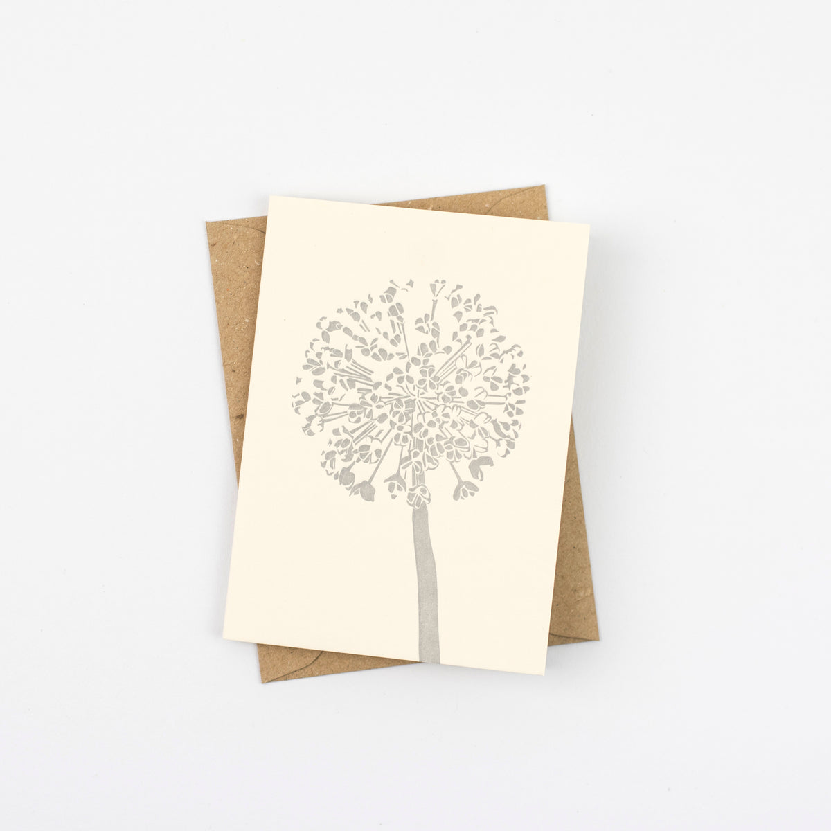 Allium Seed Head Little Letterpress Notecard