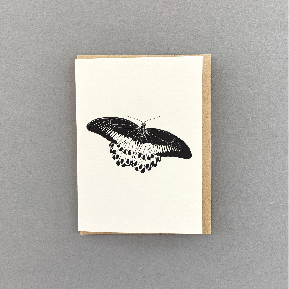 Butterflies Little Letterpress Notecard Boxset