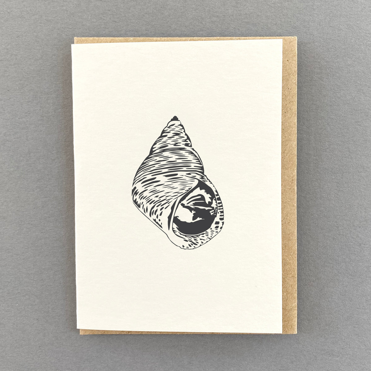 Seaside Treasure Periwinkle Little Letterpress Notecard