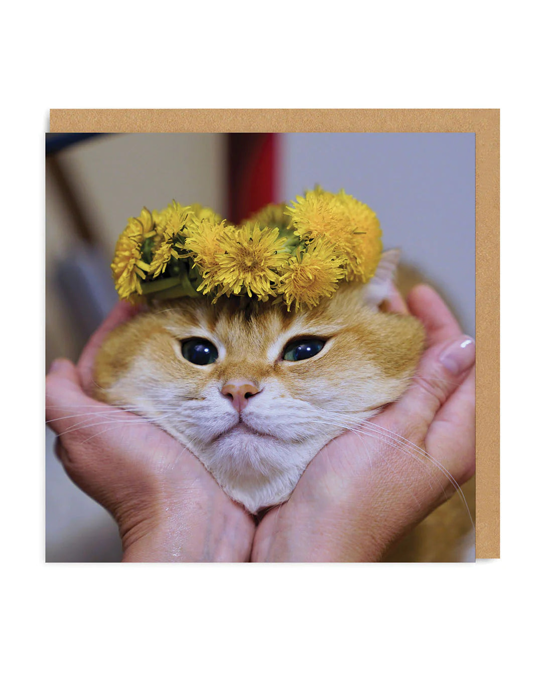 Floral Cat Squish Photographic Card by penny black