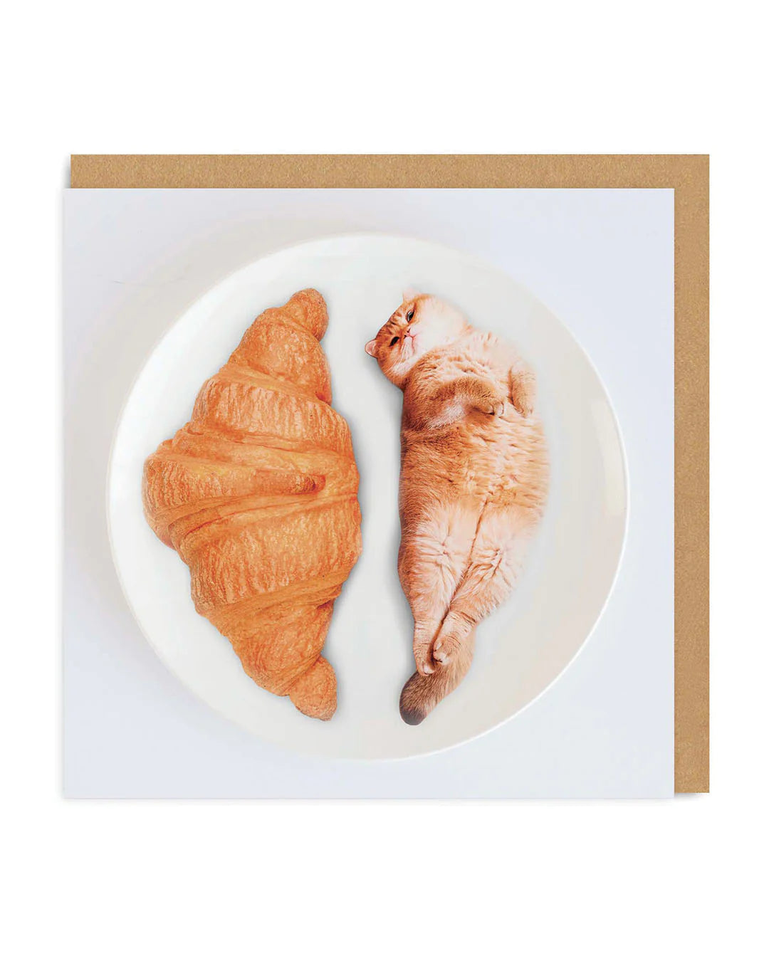 Cat Croissants Photographic Card by penny black