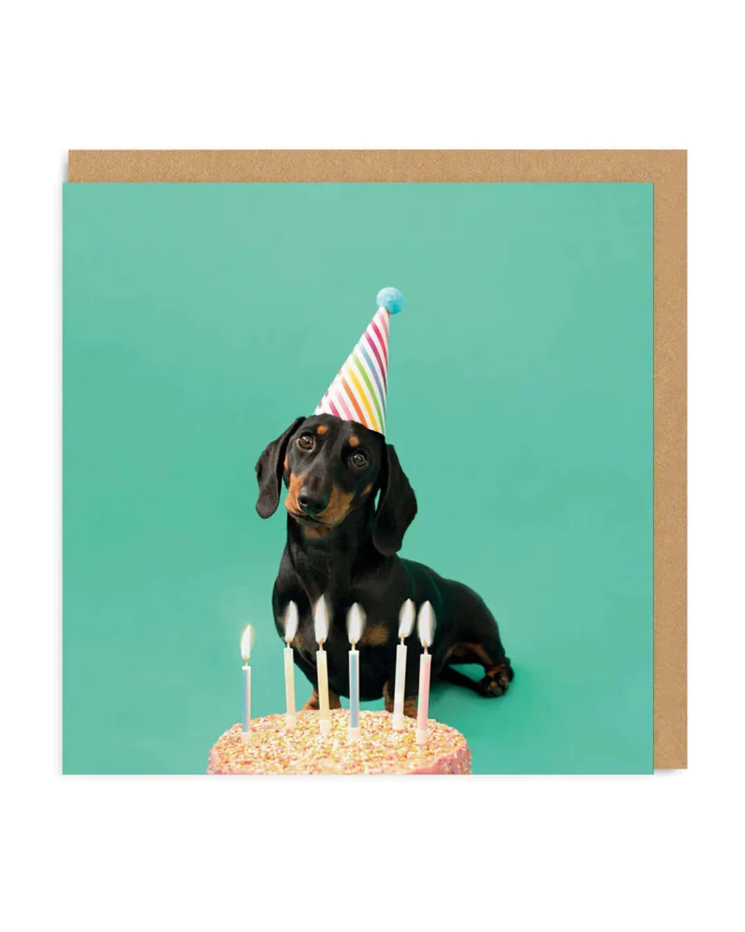 Sausage Dog Party Hat Photographic Birthday Card by penny black