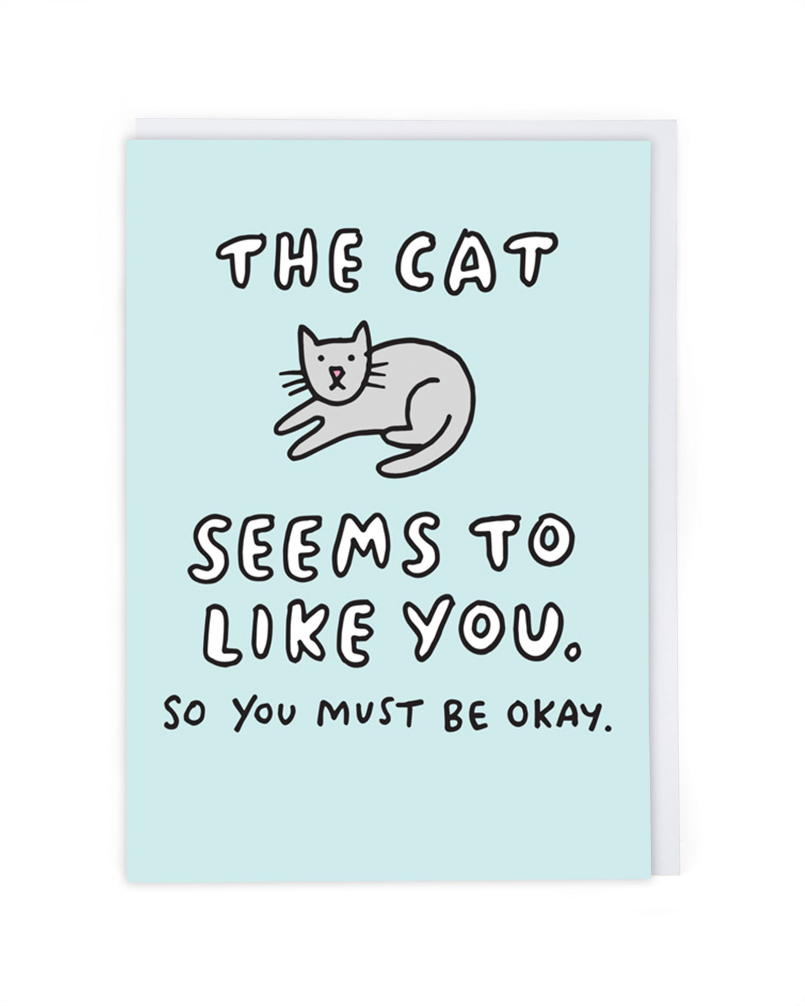 Cat Seems To Like You Funny Valentine Card by penny black