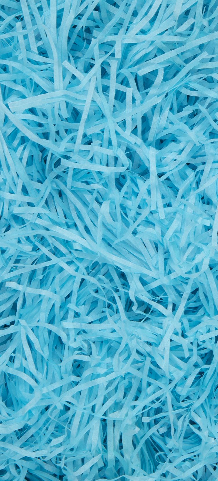 A mass of light blue shredded tissue paper.