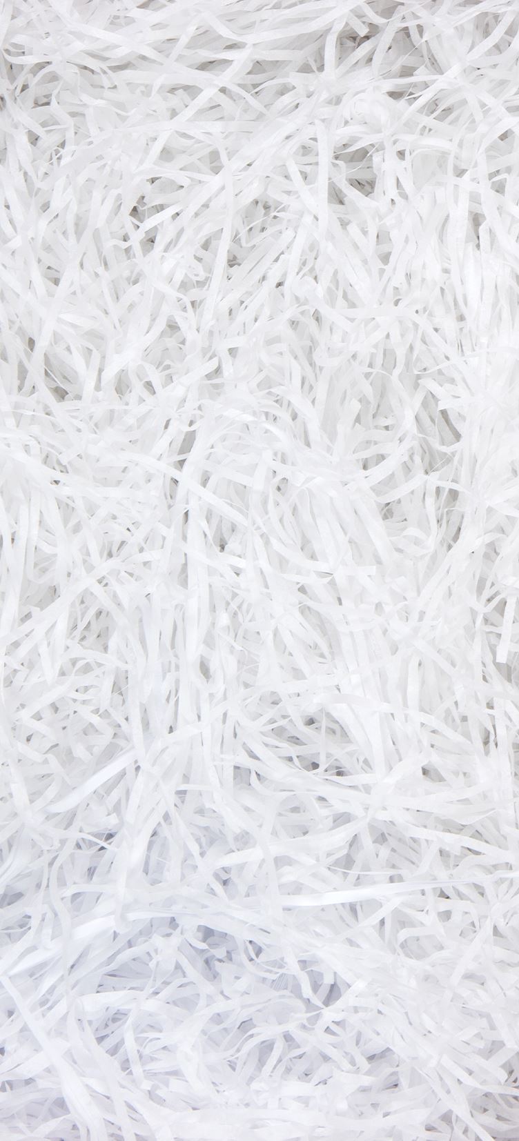 A mass of white shredded tissue paper.