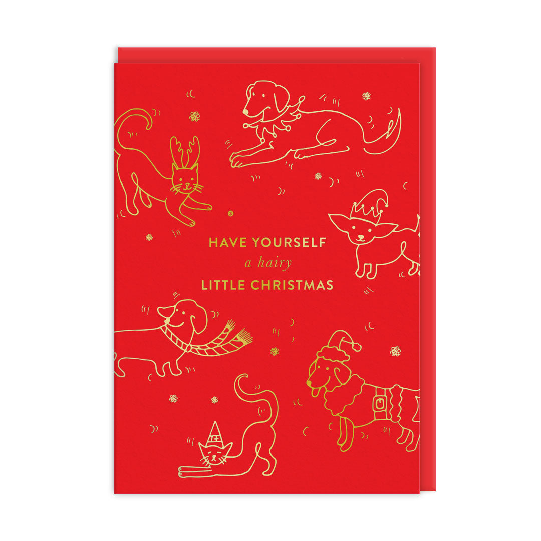 Have Yourself A Hairy Little Christmas Card By Penny Black