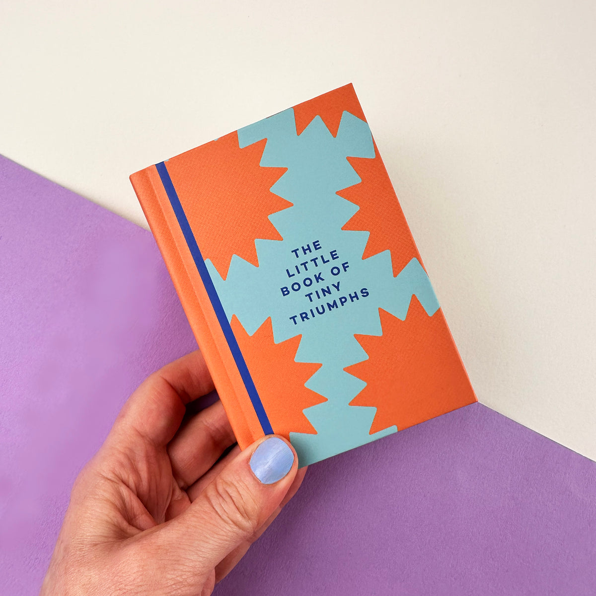 In Real Life The Little Book Of Tiny Triumphs Mini Journal By Penny Black