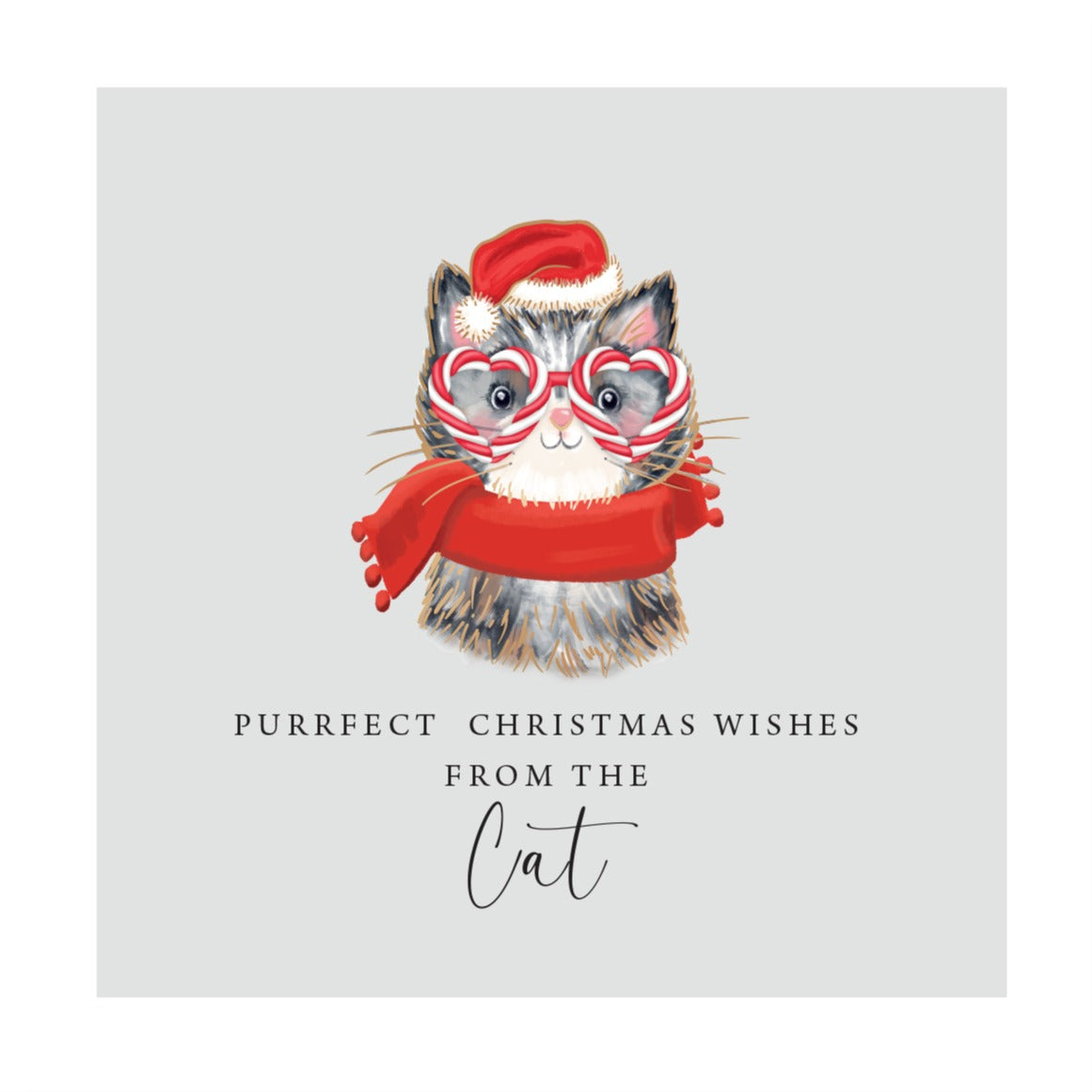 Candy Cane Glasses From The Cat Christmas Card By Penny Black