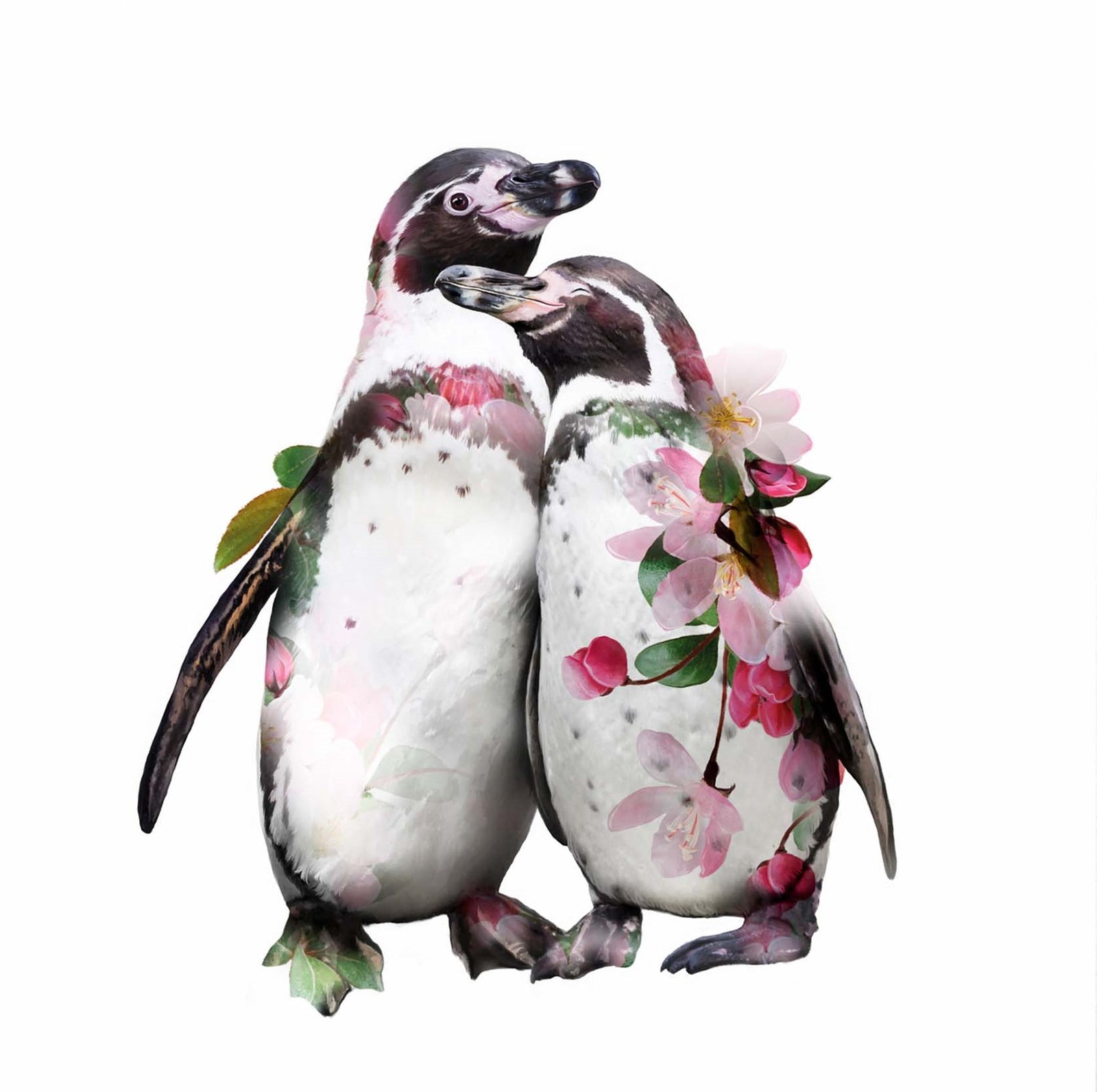 Floral Hugging Pengiuns Art Card at Penny Black