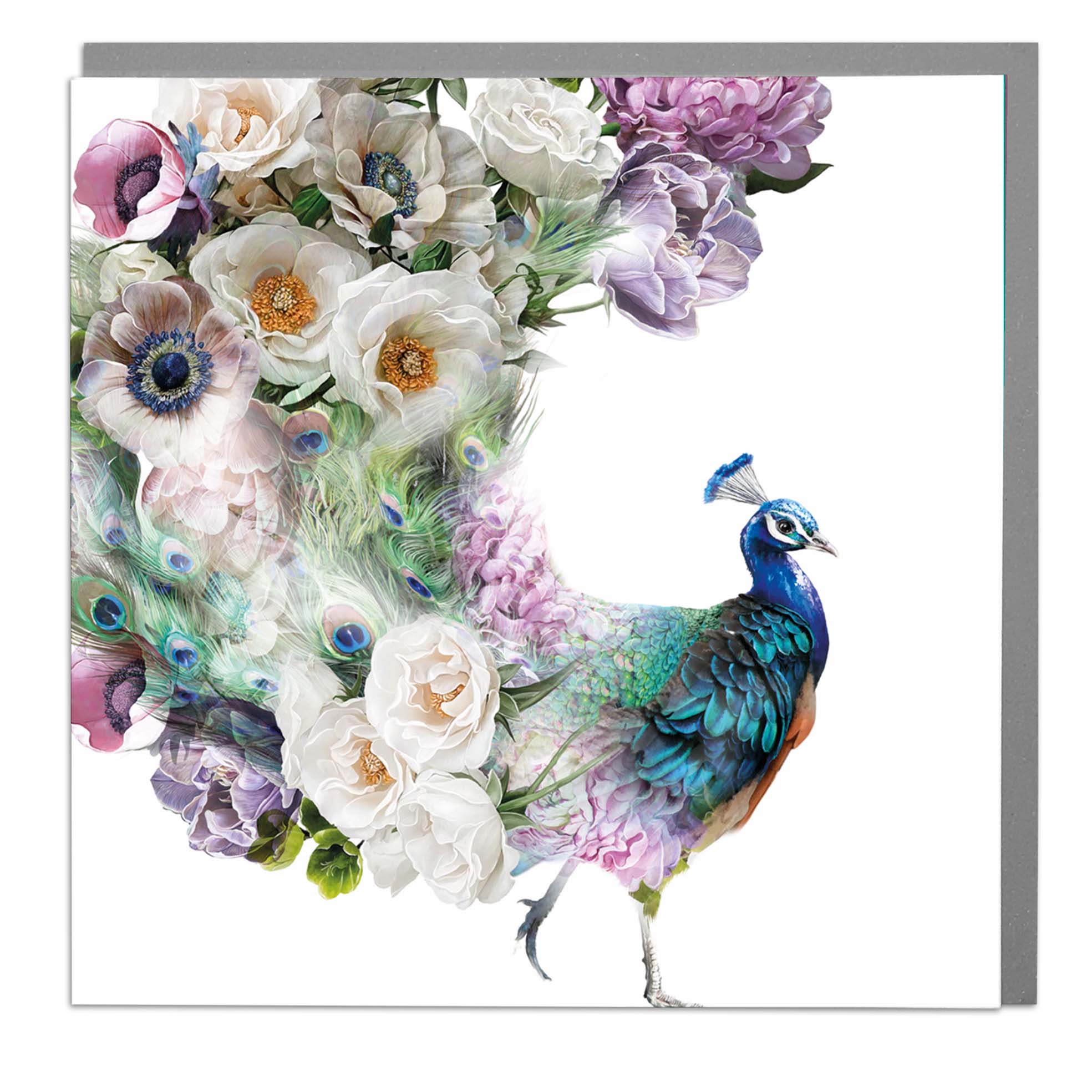 Floral Tailed Peacock Photographic Art Card from Penny Black