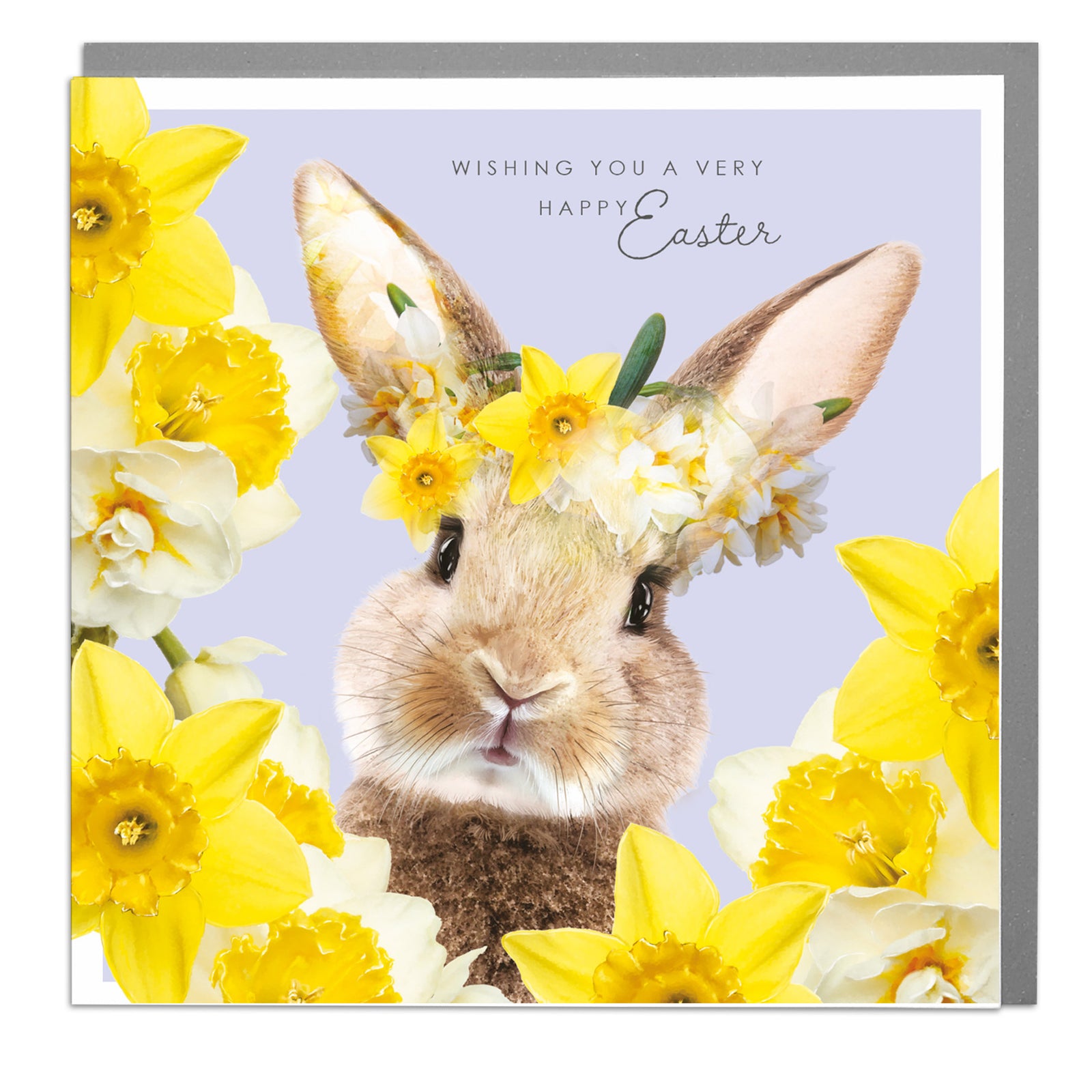 Daffodil Rabbit 2026 Very Happy Easter Card By Penny Black